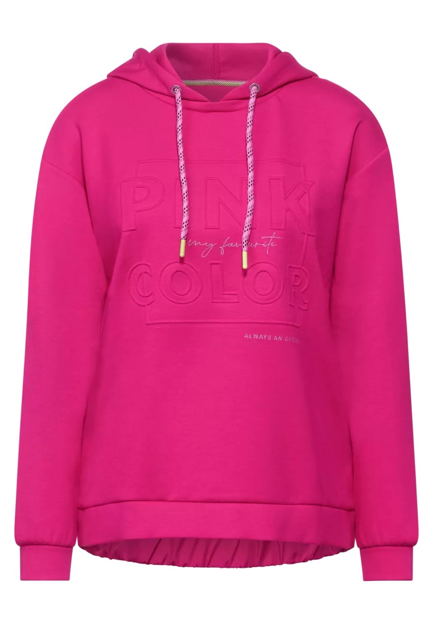A301825 Sweat Hoody With Artwo